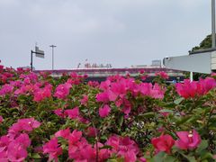 -广州火车站(地铁站)