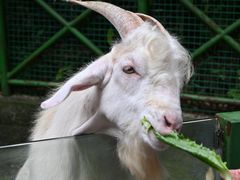 -杭州野生动物世界