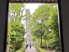 -上海佘山国家森林公园天马山园