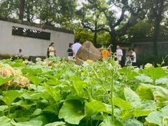 -绍兴鲁迅故里·沈园景区