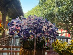 -钱王祠