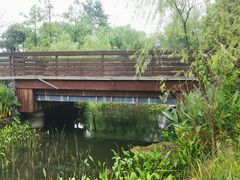景点-长田漾湿地公园