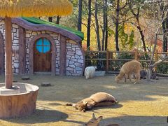 -茅山东方盐湖城景区