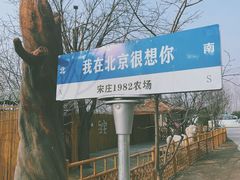 -1982农场