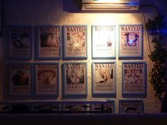 -Sirena海妖日咖夜酒