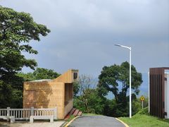 -黄埔油麻山森林公园