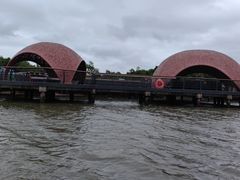 -东寨港红树林旅游区