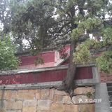 黄金周逛北京必看景点攻略3
