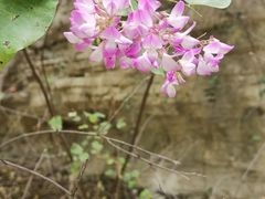 -龙洞风景区-藏龙涧