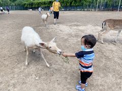 -北京麋鹿生态实验中心