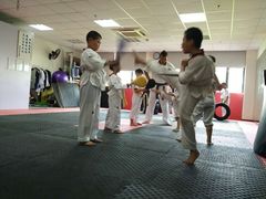 -金翼跆拳道巴西柔术拳击格斗学院