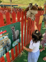 -萌宠亲子动物乐园(槐房万达店)