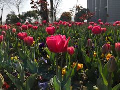 -无锡市市民中心