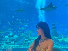 -亚特兰蒂斯•OSSIANO奥西亚诺海底餐厅