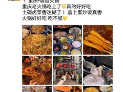 -杨记隆府(重庆总店)