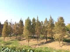 -福州大学(旗山校区)