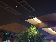 -同仁四季椰子鸡(宝安壹方城店)