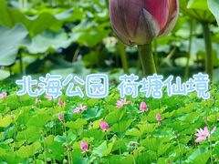 -北海公园