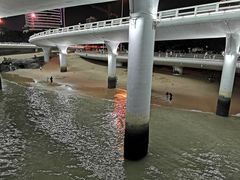 -演武大桥观景平台