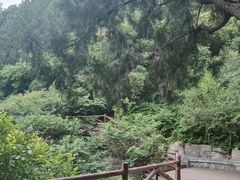 -佛慧山