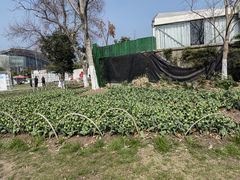 -玄武湖景区-情侣园游乐场