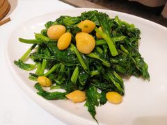 银杏豌豆尖-眉州东坡(国贸店)