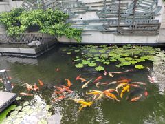 -广州白天鹅宾馆