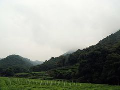-龙井村