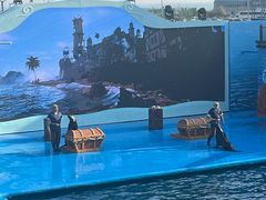 -海合安青岛极地海洋公园