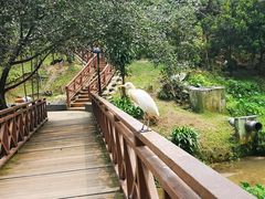-吉隆坡雀鸟公园
