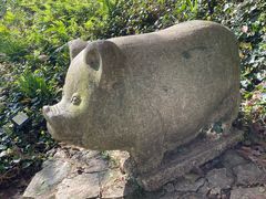 -莫干山风景区