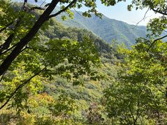 -五女峰国家森林公园