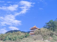 -水濂山森林公园