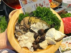 -楠小云·云南鲜牛野生菌自助火锅(九眼桥店)