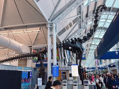 -奥黑尔国际机场