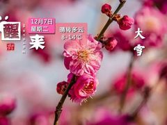 -小菜园新徽菜(上海浦东复地活力城店)