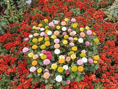 -共青国家森林公园-售票处