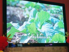 -巢爷老味(东方红店)