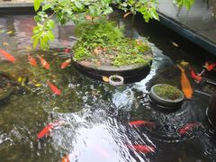 -野蔓果·山野菜(西湖景区·龙井茶田店)