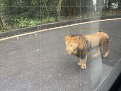 -中国大熊猫保护研究中心雅安碧峰峡基地