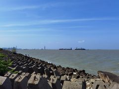 -上海滨江森林公园
