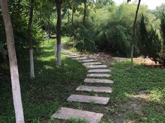-大港湿地公园