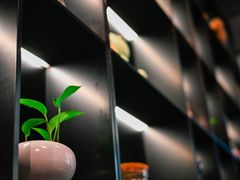 -街角 T·COFFEE 融合料理·BISTRO(车公庙店)