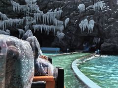 -珠海长隆海洋王国