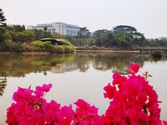 -福田红树林生态公园