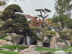 -罗红摄影艺术馆