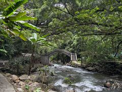 -广州市石门国家森林公园