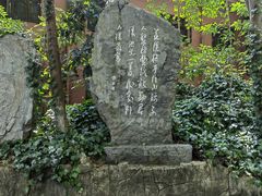 -花溪公园