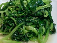 清炒鸡毛菜-19号私房菜(云南路店)