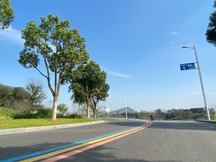 -羊山湖公园